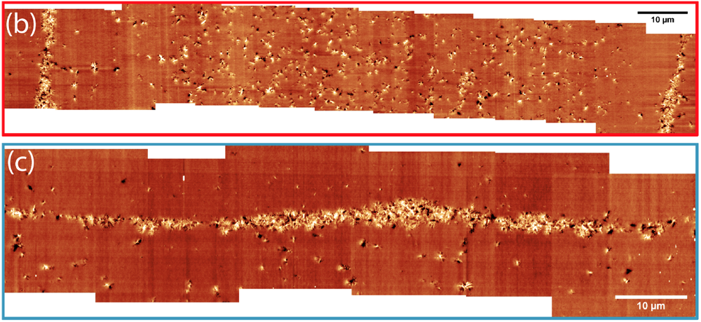 AFM topography images of FFF-printed PEEK layers